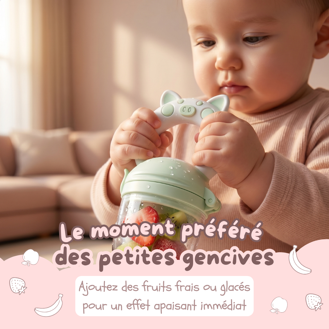 LooliKids — Grignoteur silicone pour la diversification de bébé