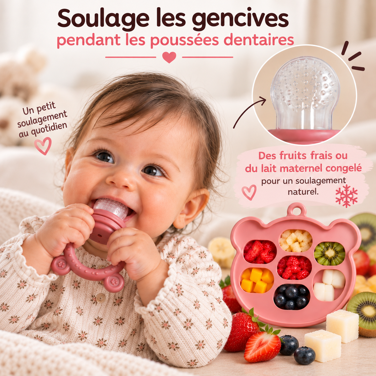 Grignoteuse Alimentaire Pour Bébé